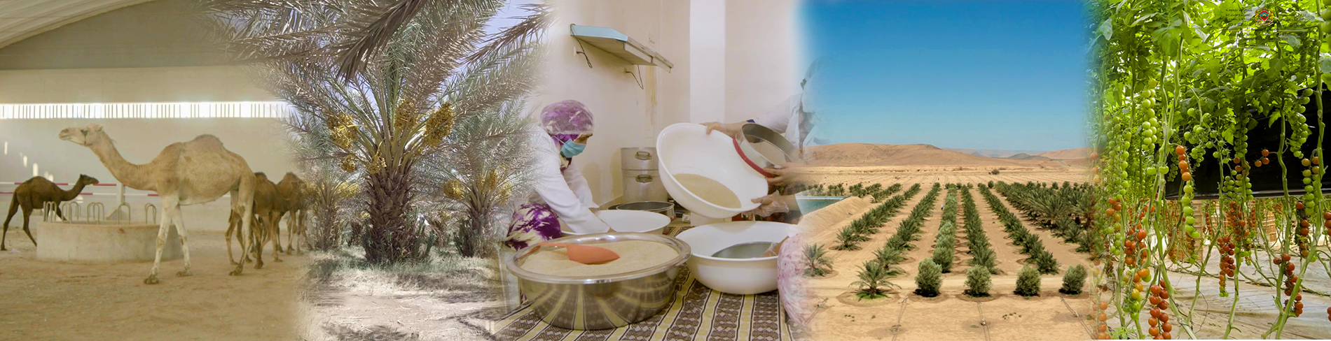 node.field_banniere.alt