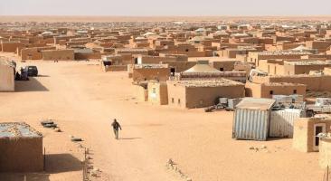 The French Pundit, Jérôme Besnard, says 'polisario' Is 'Criminal', 'Dangerous' Organization for Regional Security