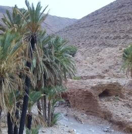 Alentours de la ville d'Ifrane Atlas Saghir